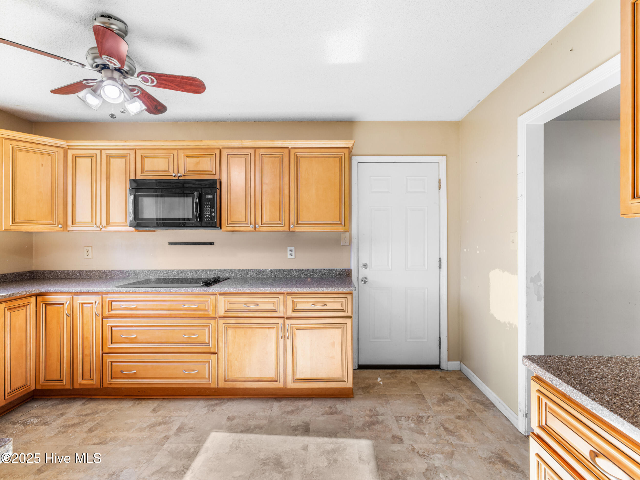 100540121 | Photo 10