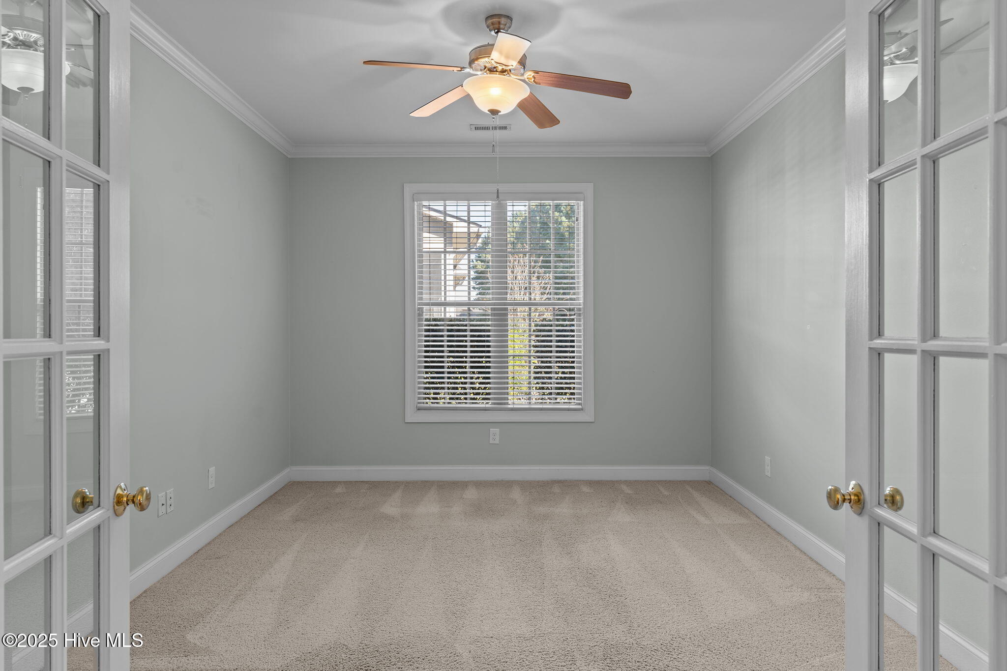 100541169 | Photo 26