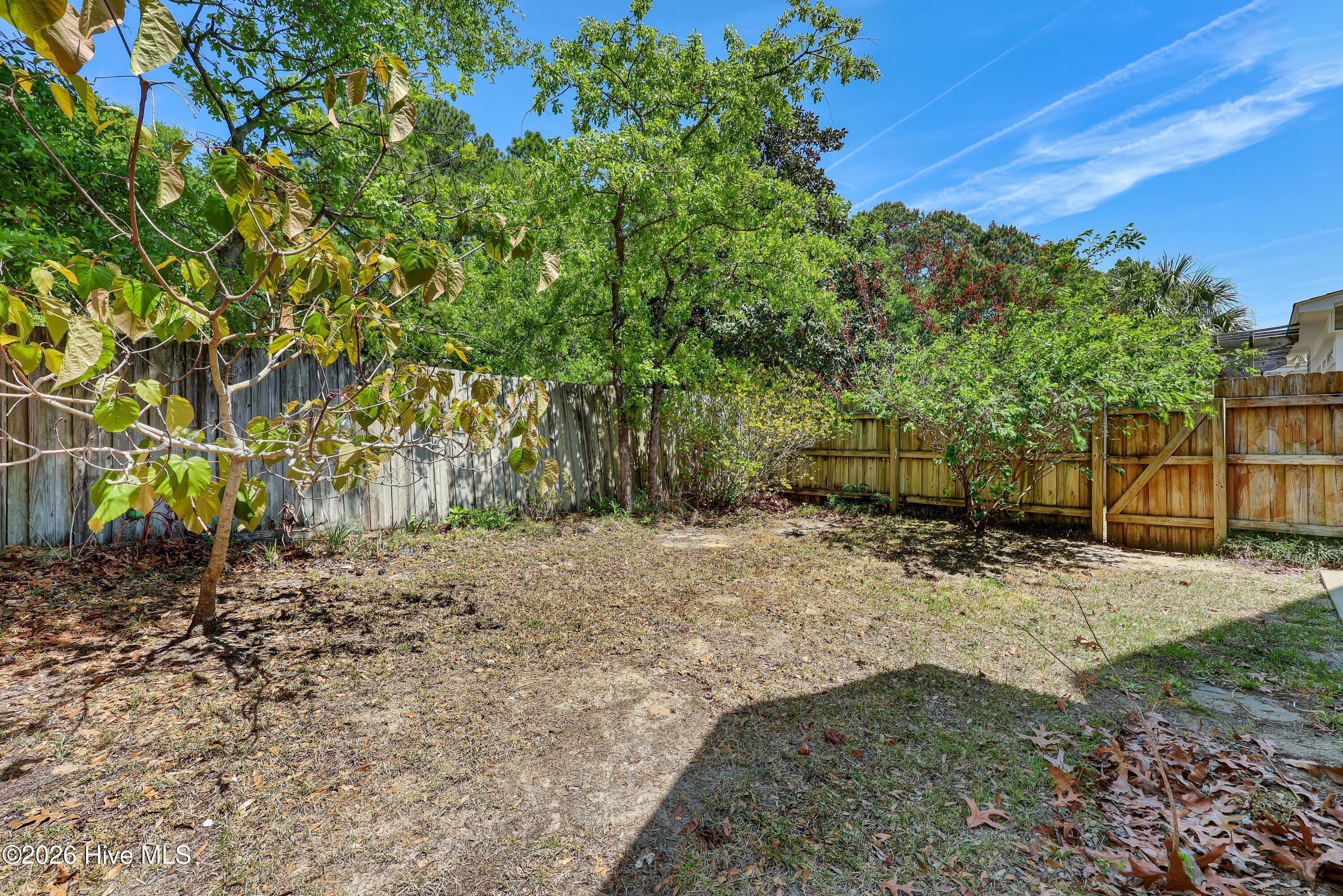 100567851 | Photo 26