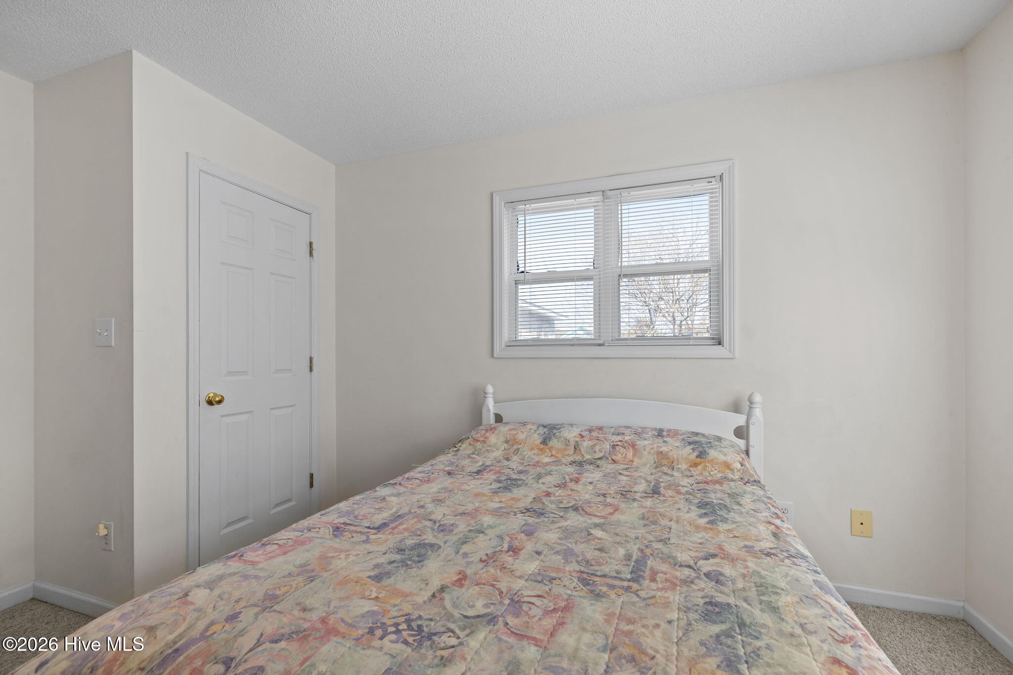 100557807 | Photo 23