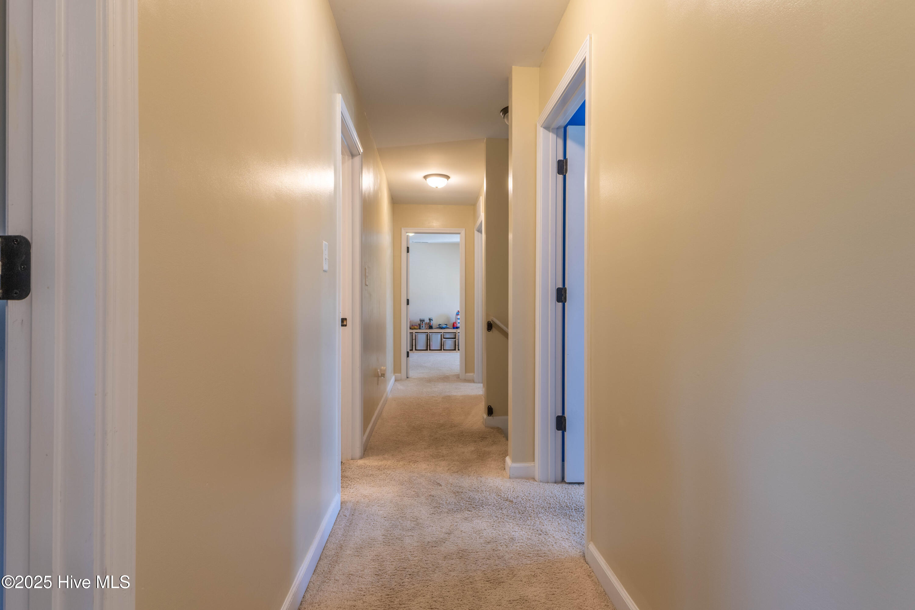 100542284 | Photo 18