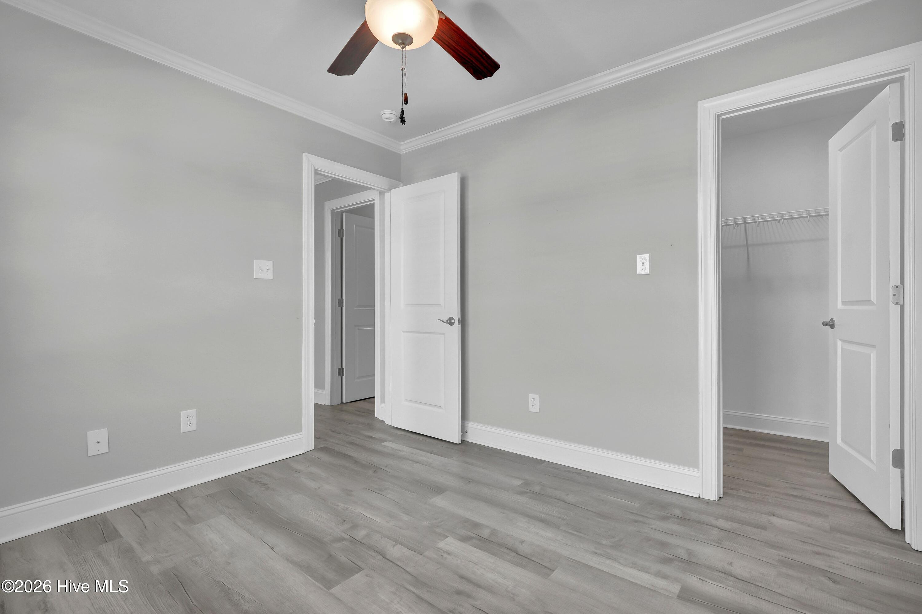 100538907 | Photo 30