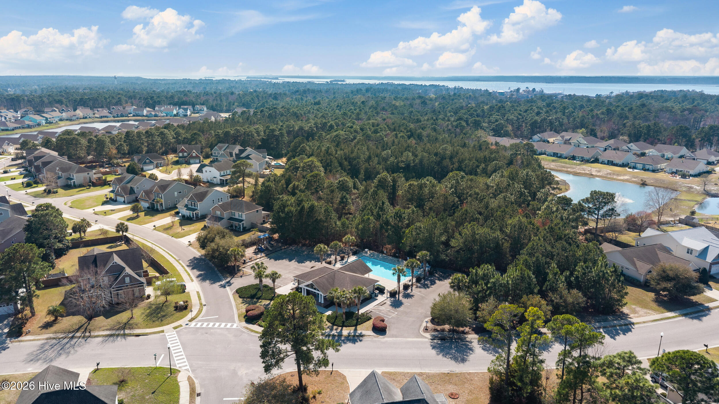 100557196 | Photo 45