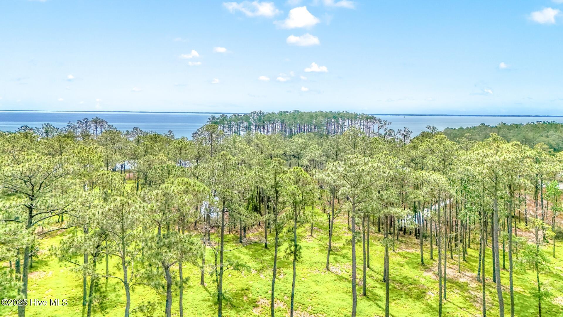 203 River Watch Road, Oriental, NC, 28571