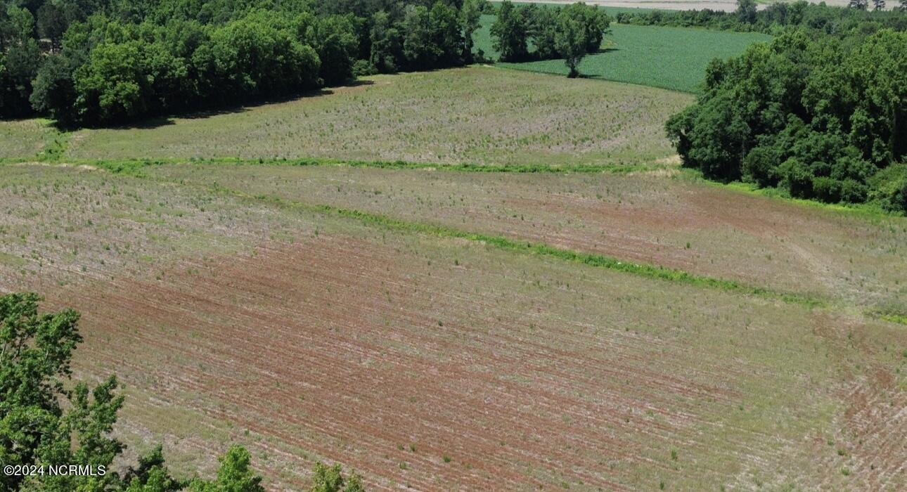 146 Cherry Street, Cerro Gordo, NC, 28430