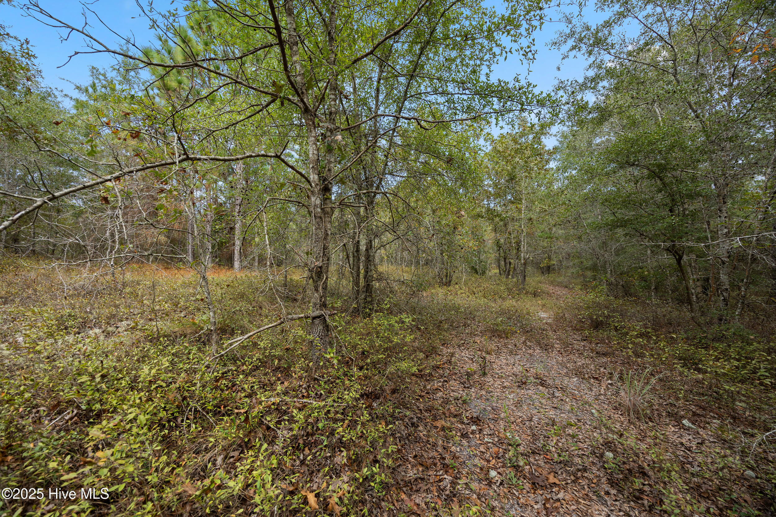 100536371 | Photo 33