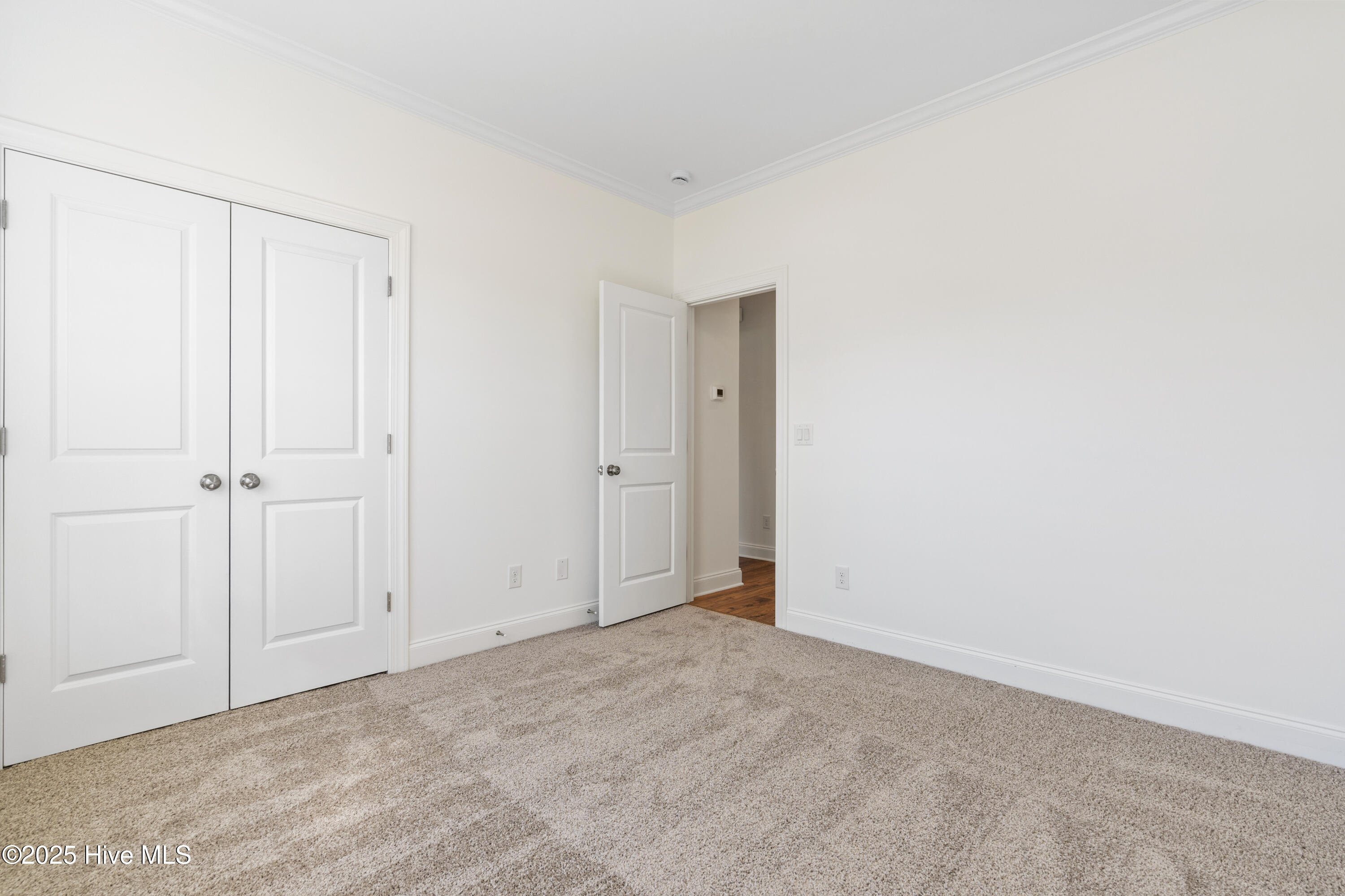 100515288 | Photo 27