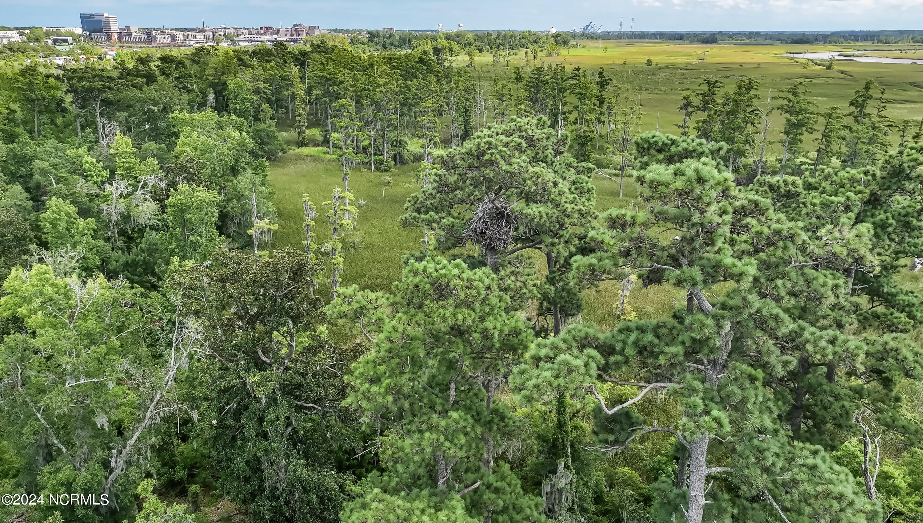 100552771 | Photo 73