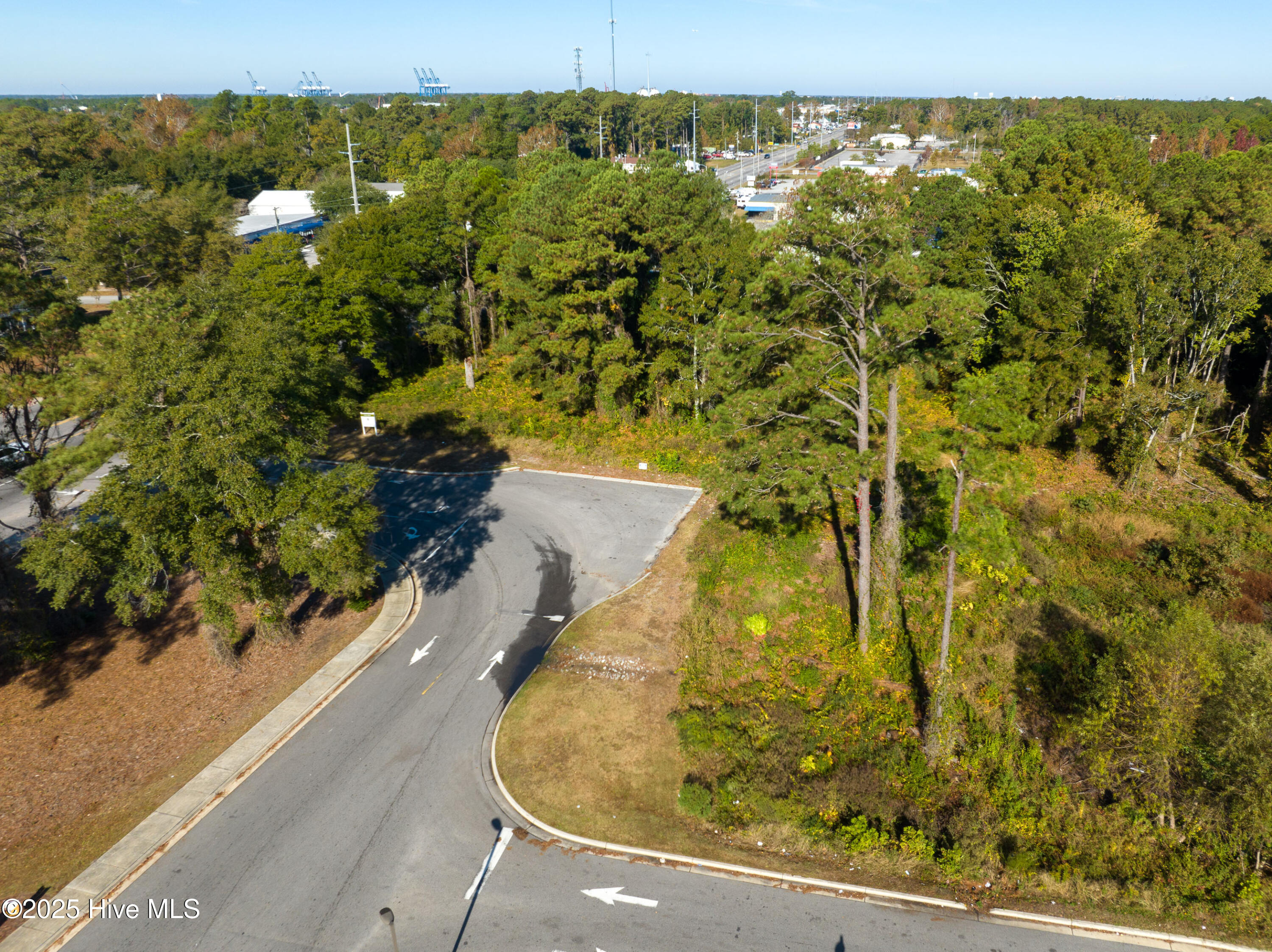 100540457 | Photo 19