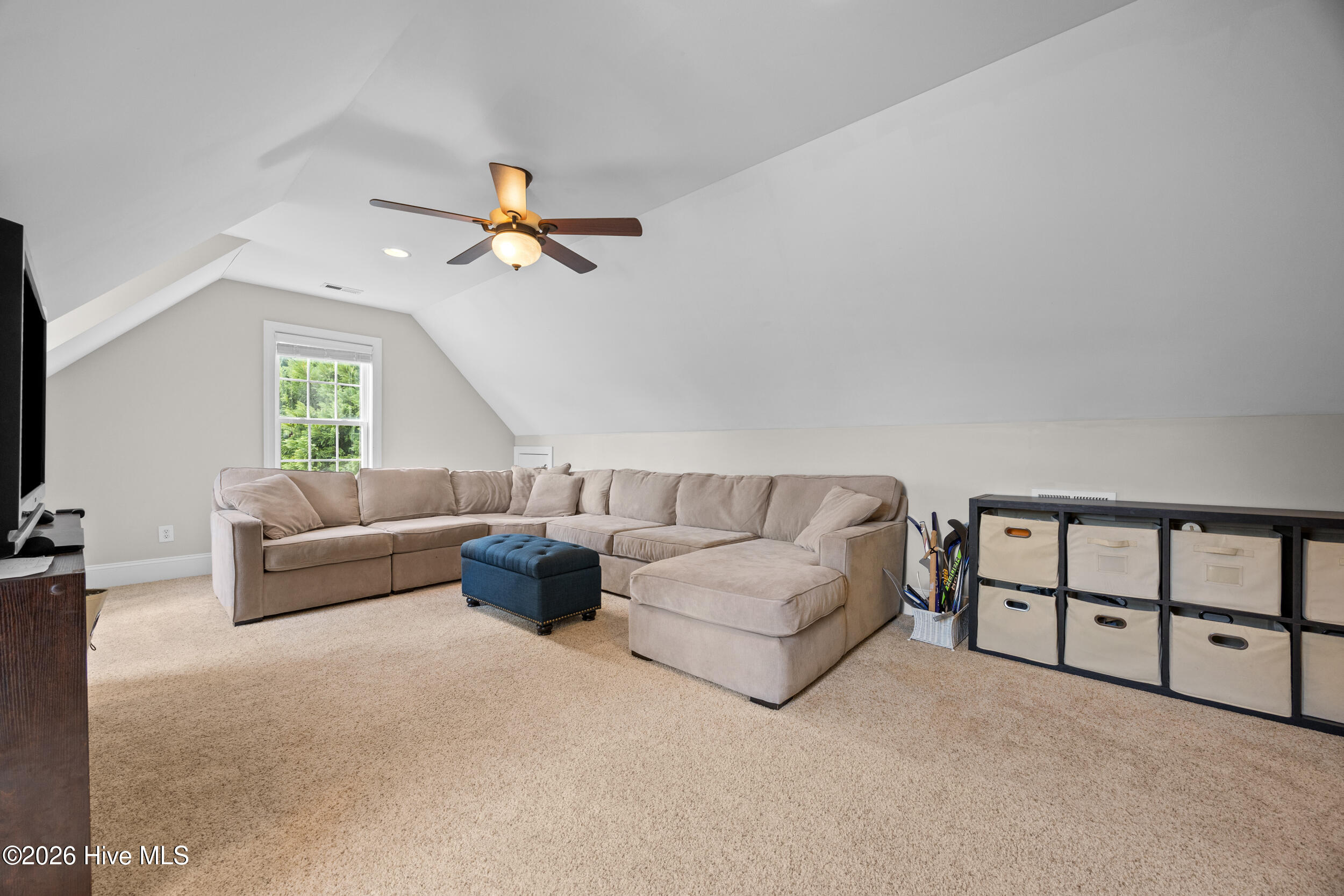 100565771 | Photo 43