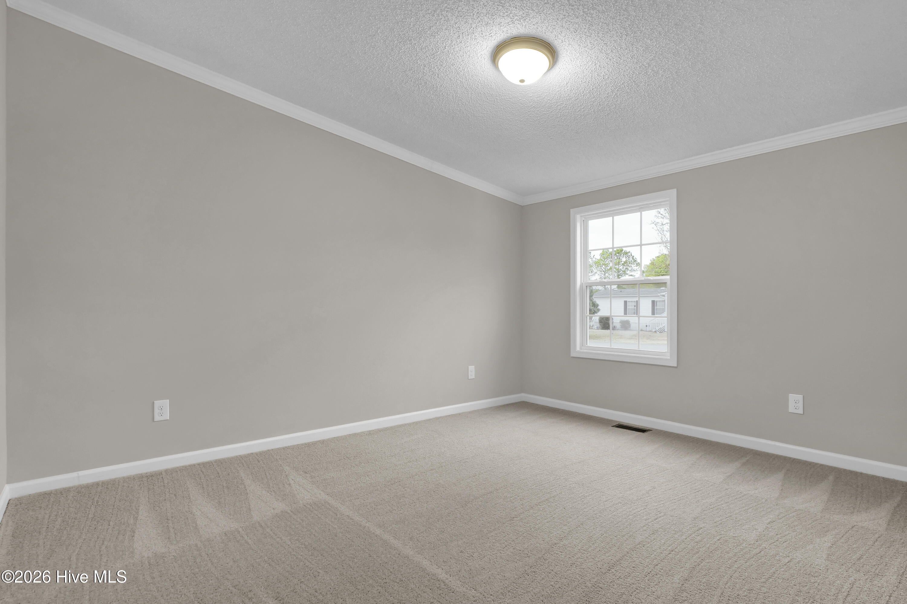 100550889 | Photo 26