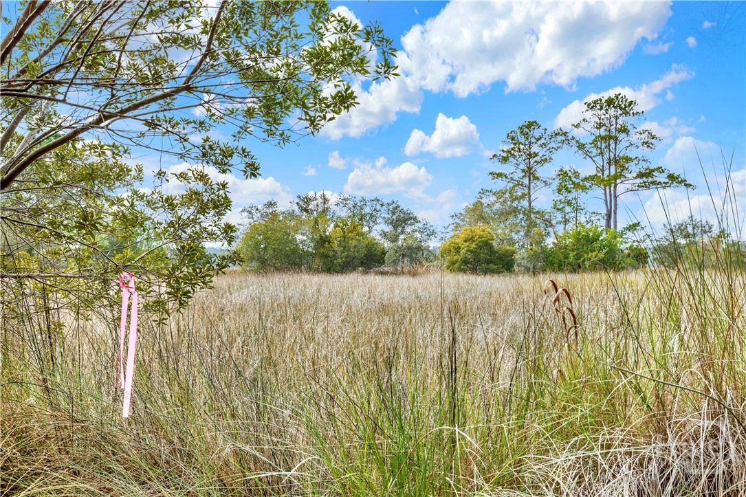 2nd image of 187 Burton Rd, Savannah, GA 31405 | MLS# SA340615