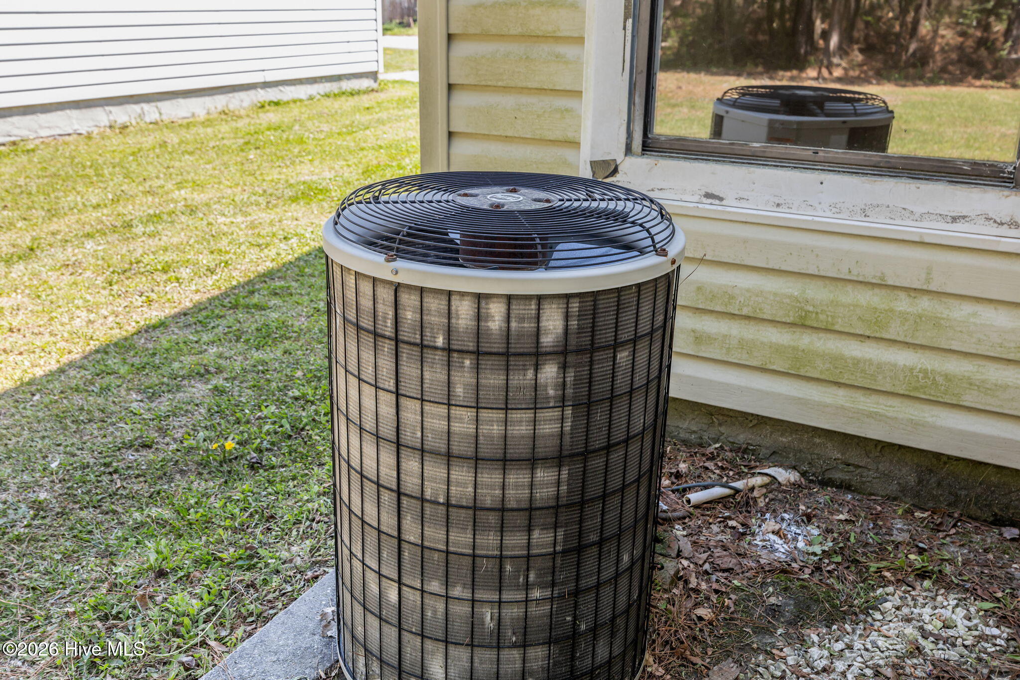 100563578 | Photo 44