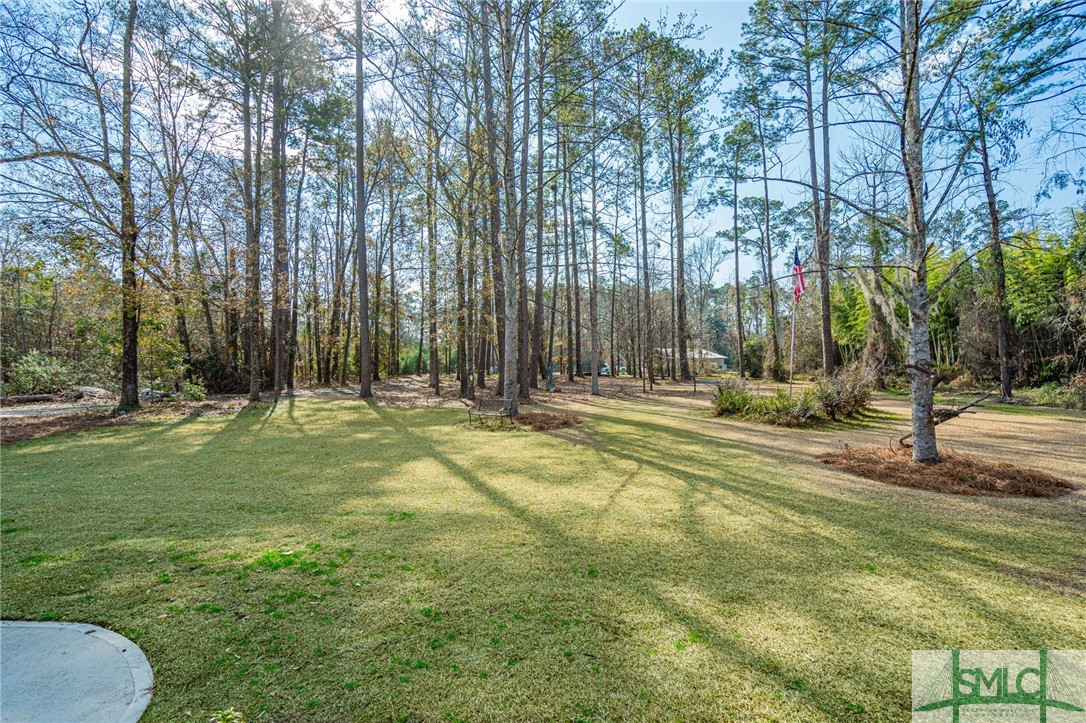 Front Yard From Porch