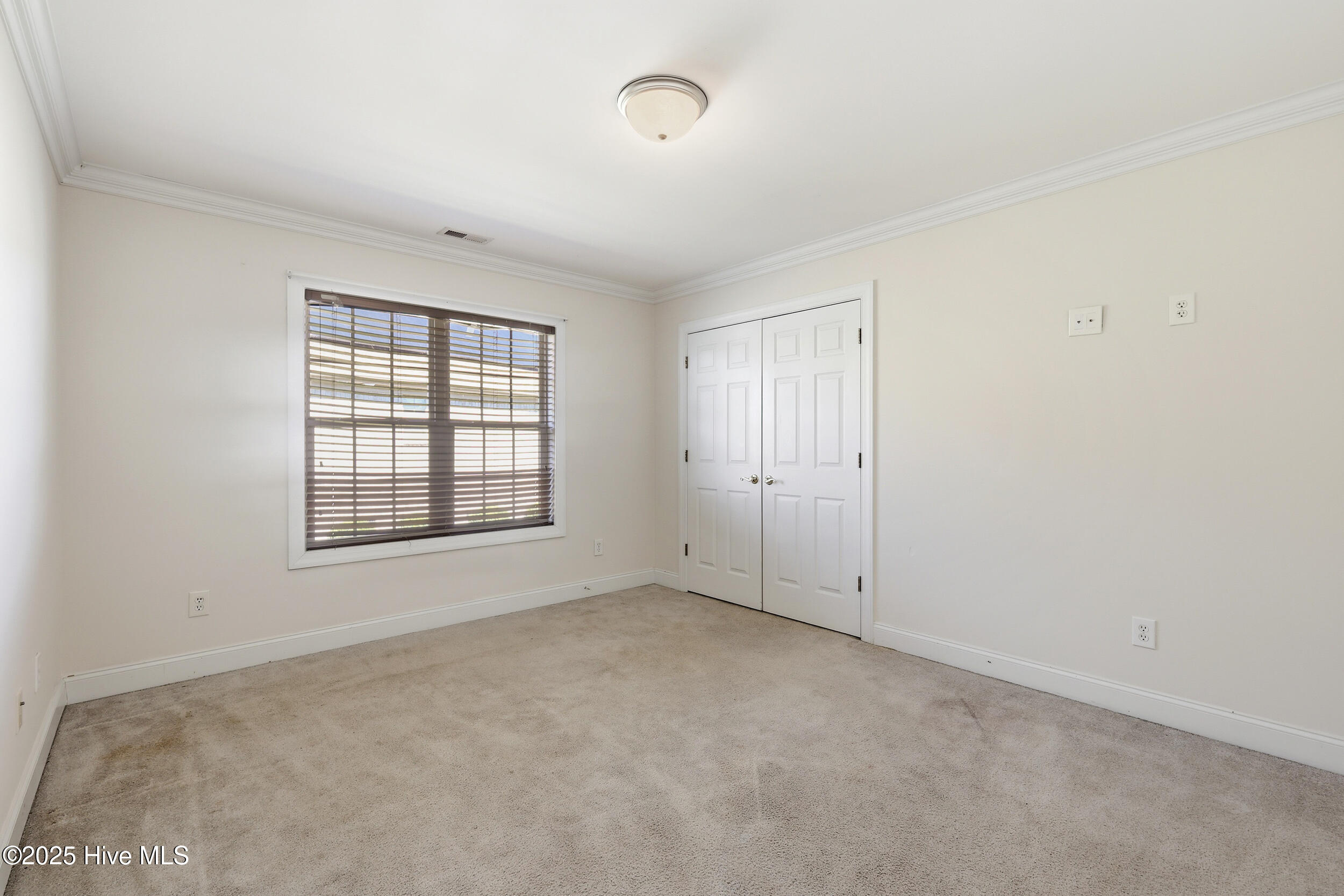 100536932 | Photo 14