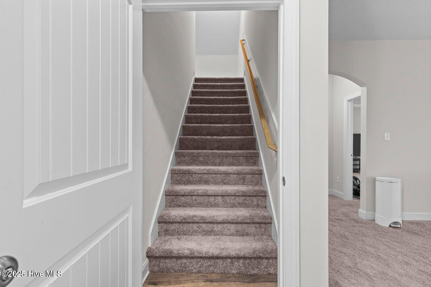 100545840 | Photo 24