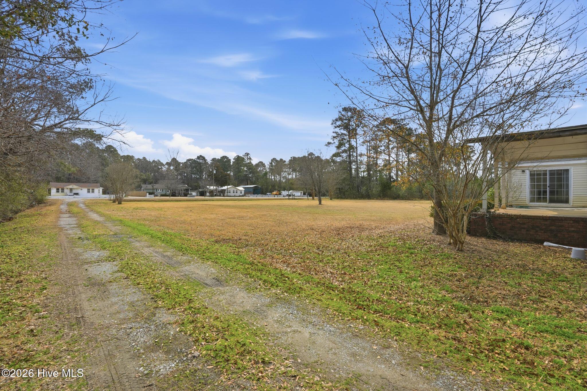 100556115 | Photo 98