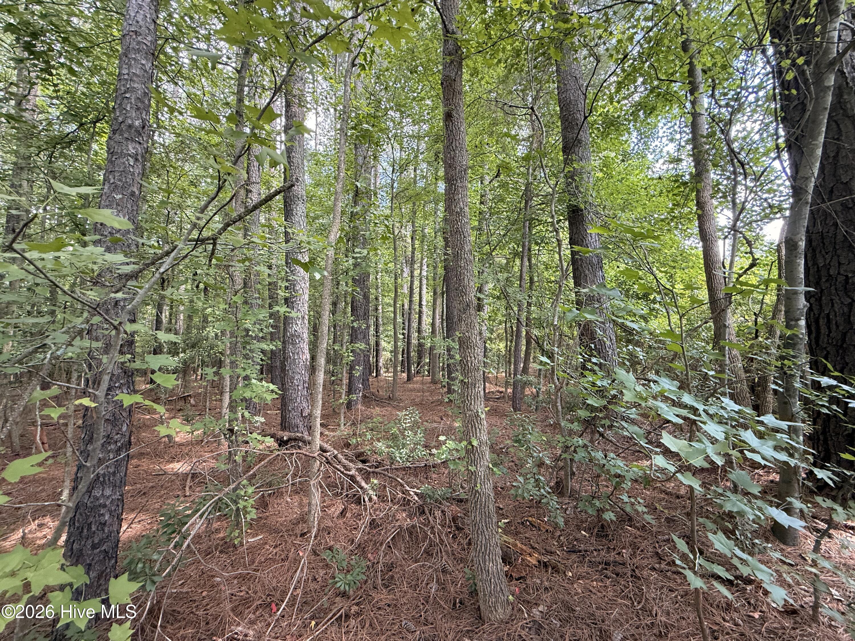 Exterior photo of Lot 2b Holland Road, Greenville, NC 27834. MLS: 100599703
