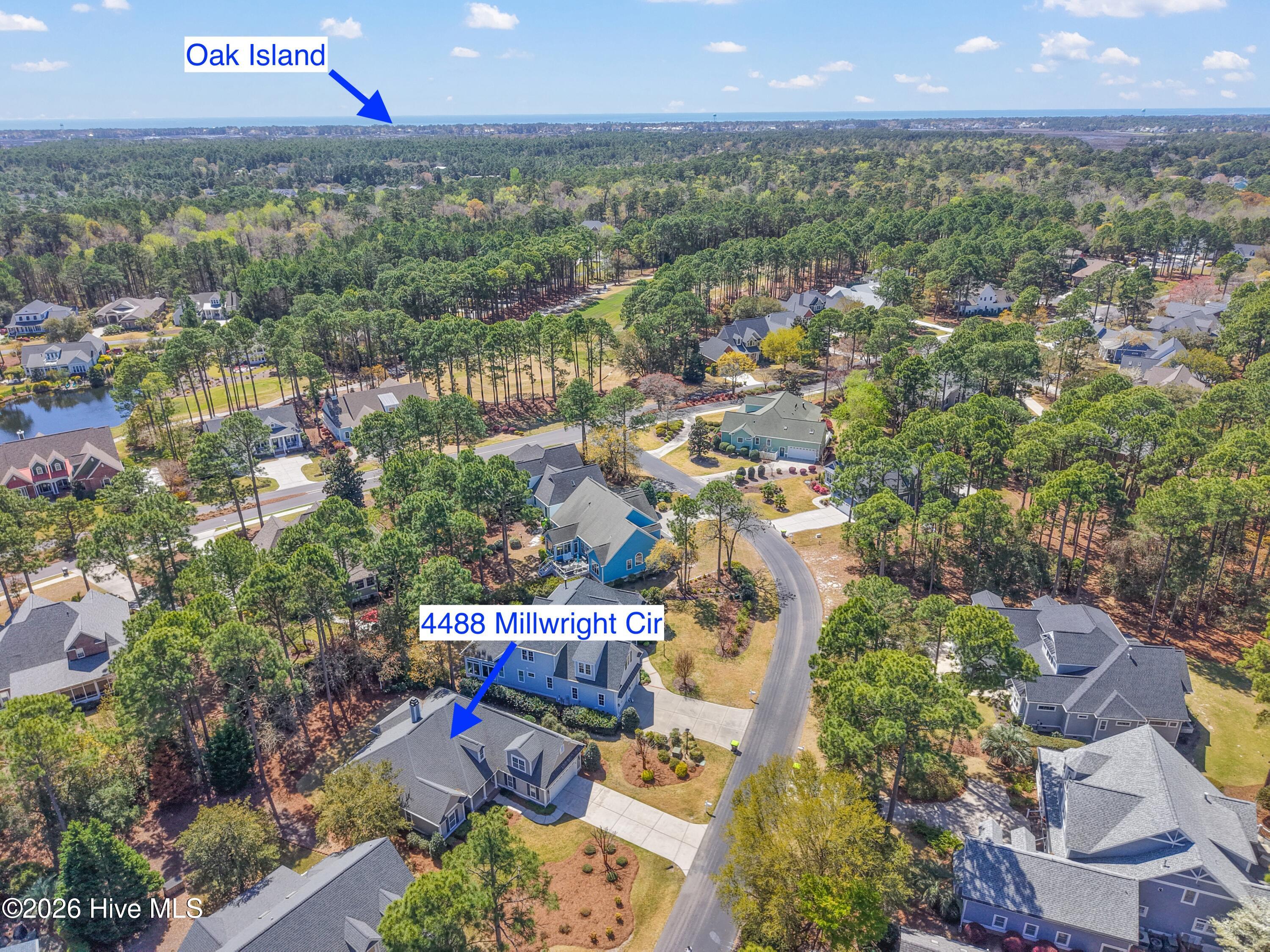 100563713 | Photo 51