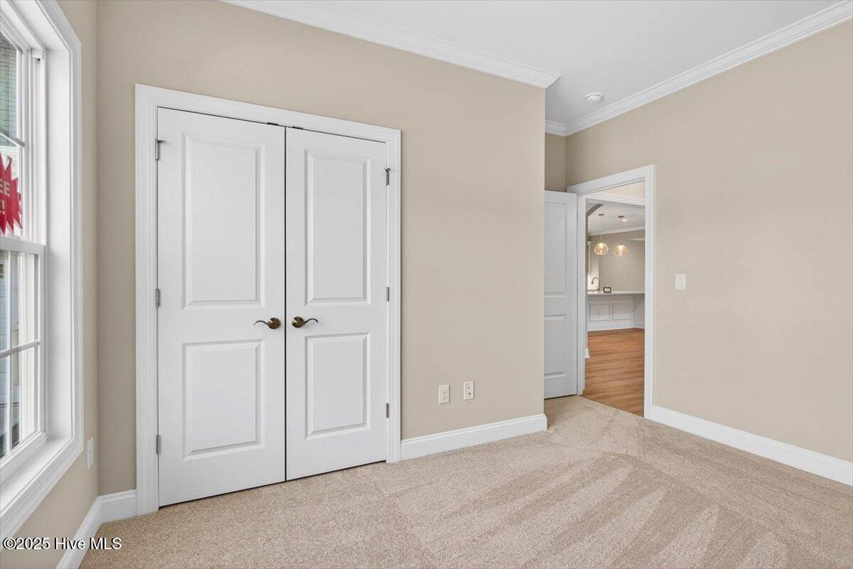 100546300 | Photo 34