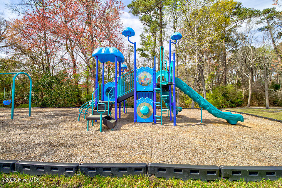 100562177 | Photo 24