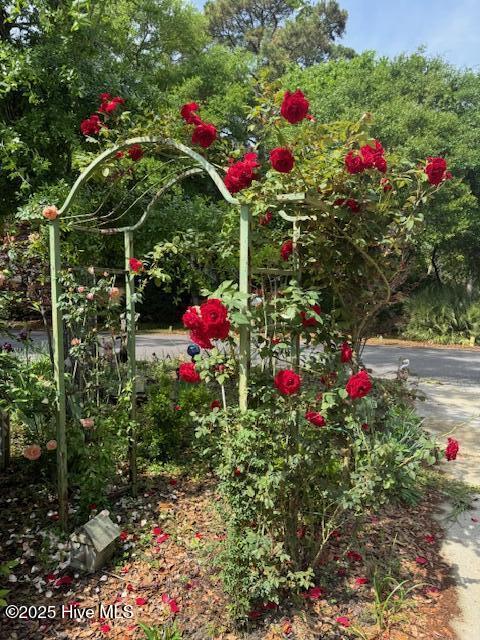 100513257 | Photo 70