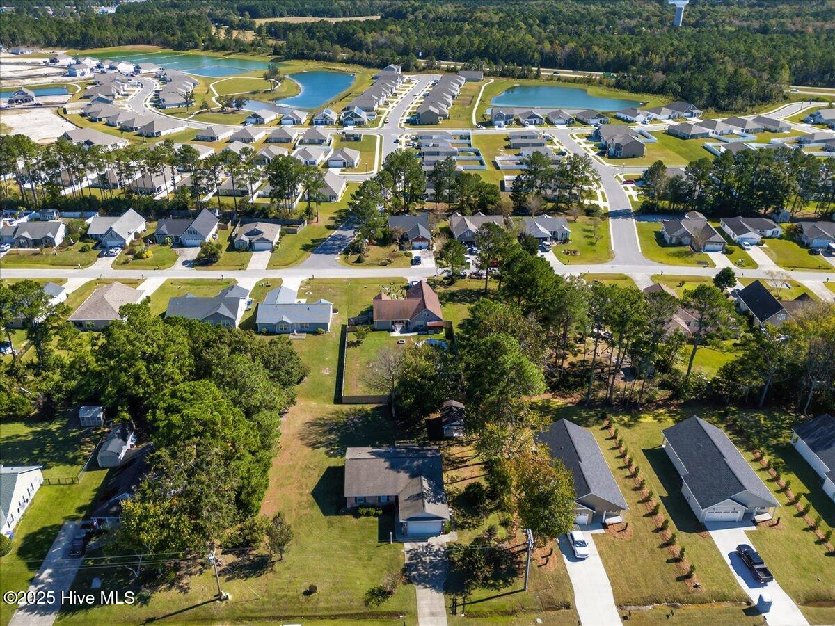 100537242 | Photo 55