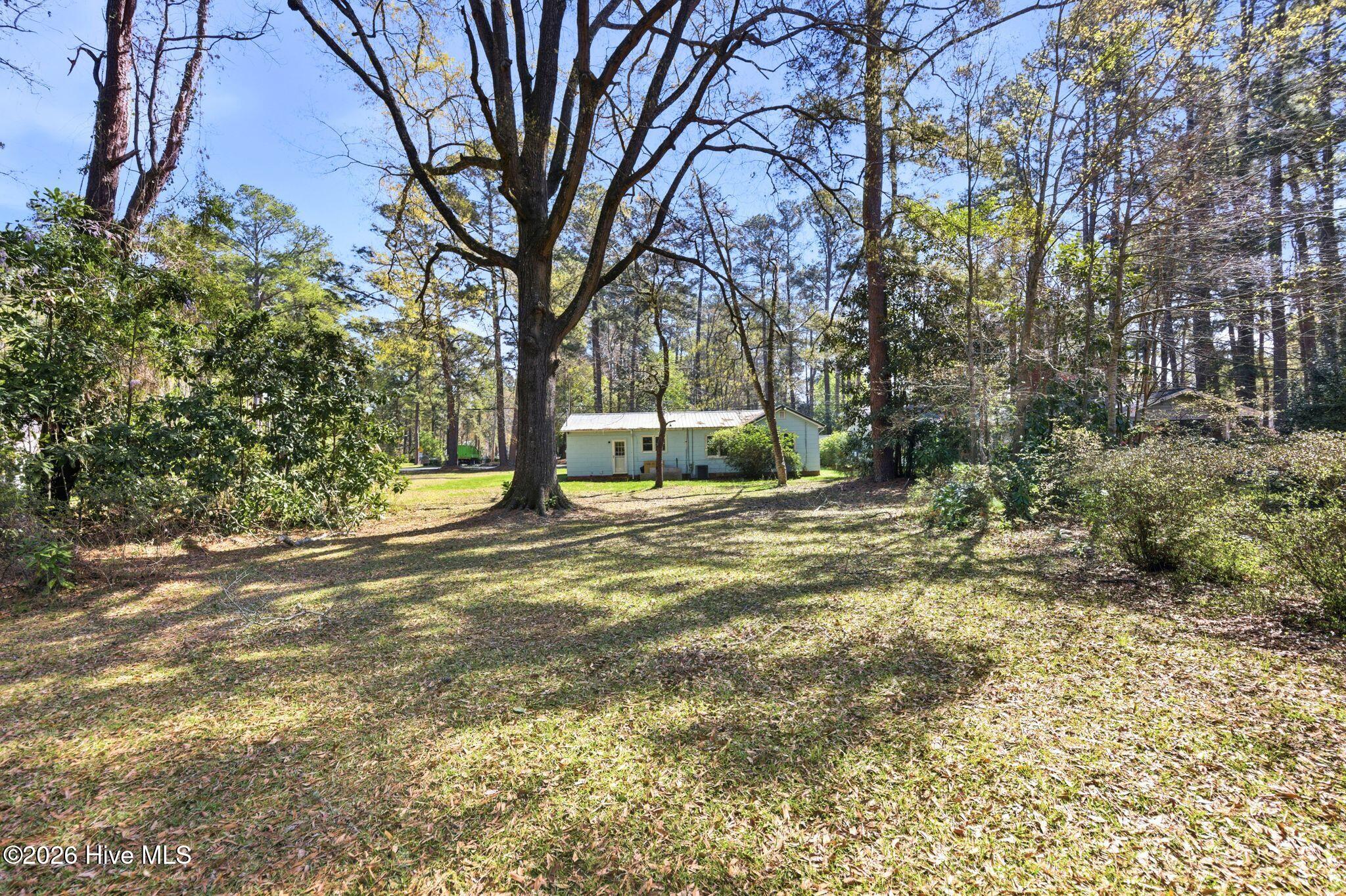 100562415 | Photo 41