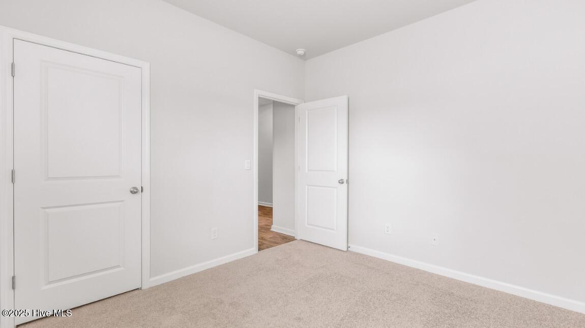 100565465 | Photo 11