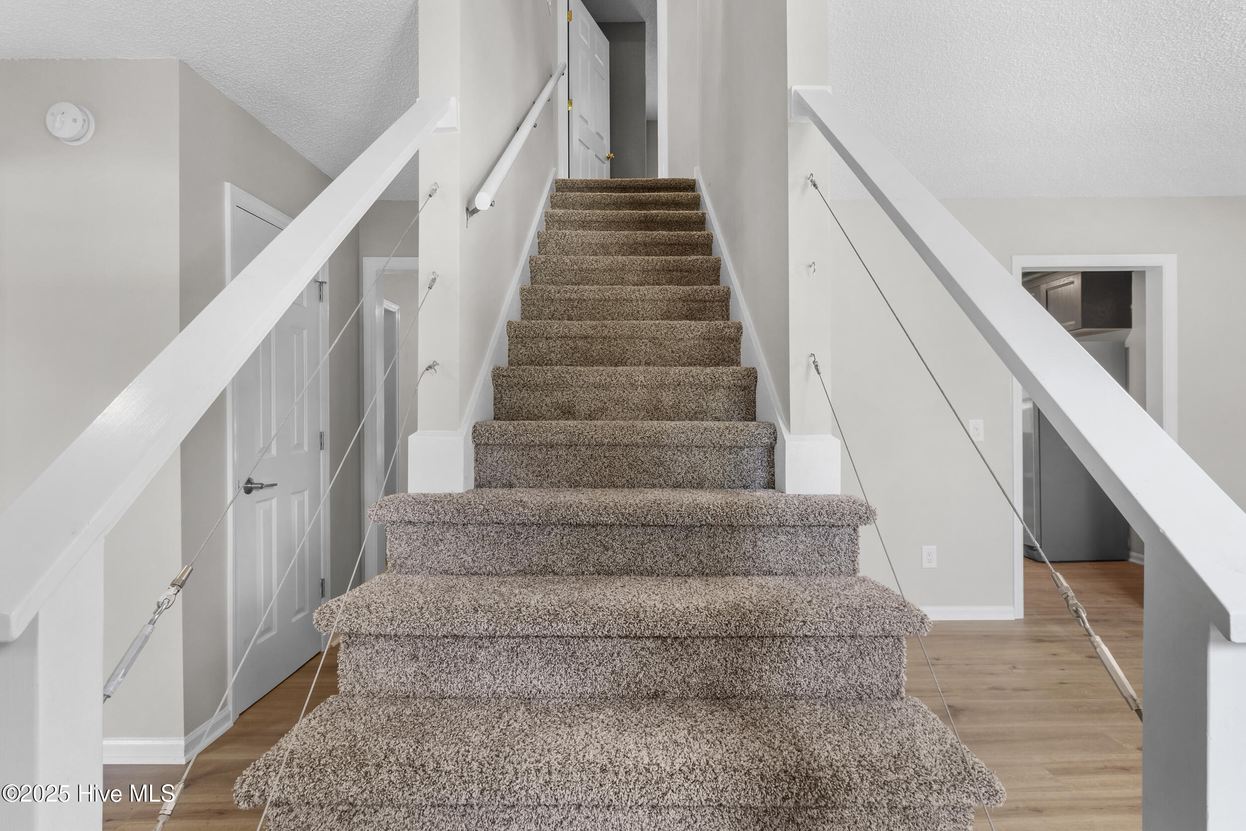 100526469 | Photo 16