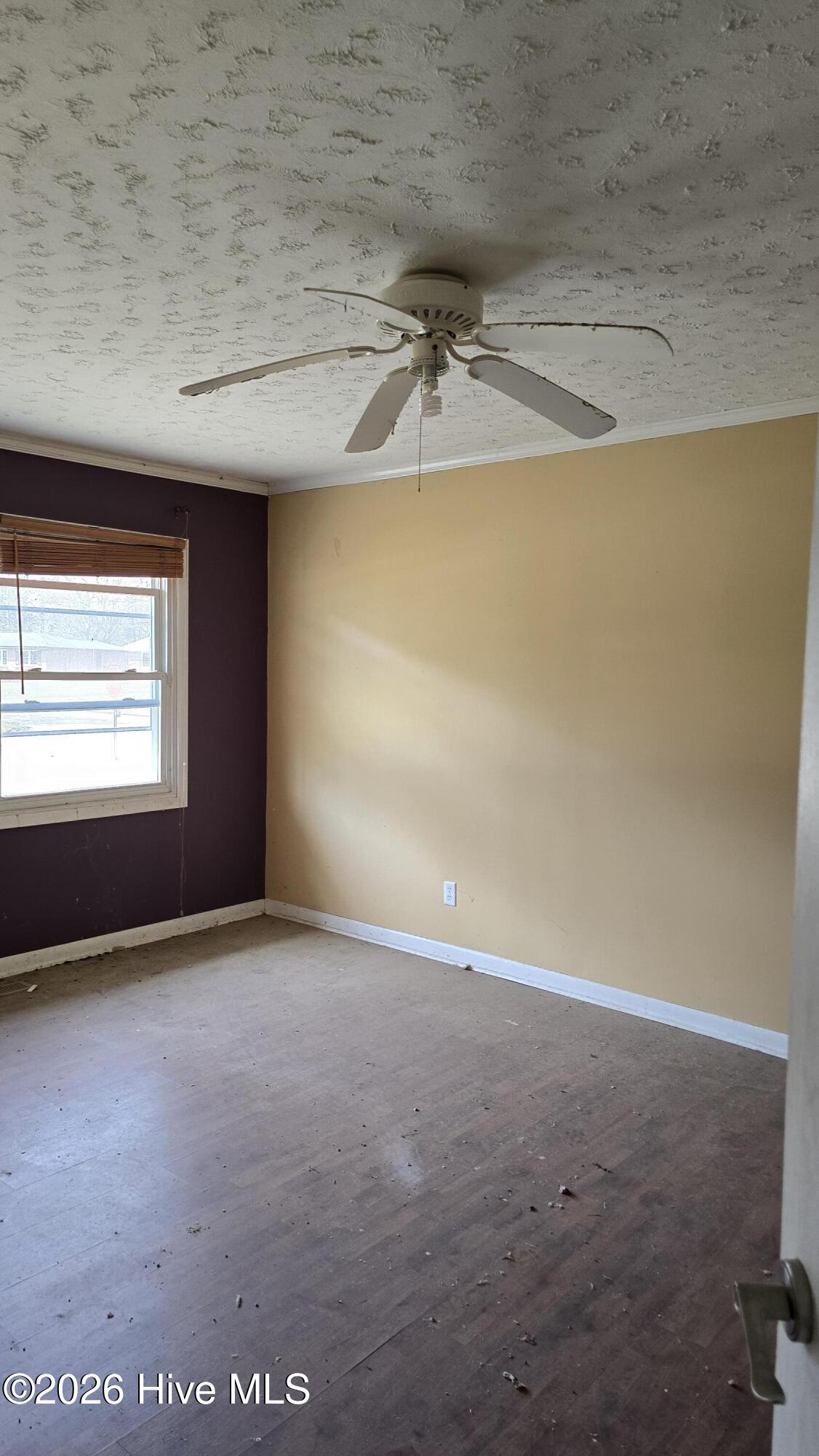 100561564 | Photo 11