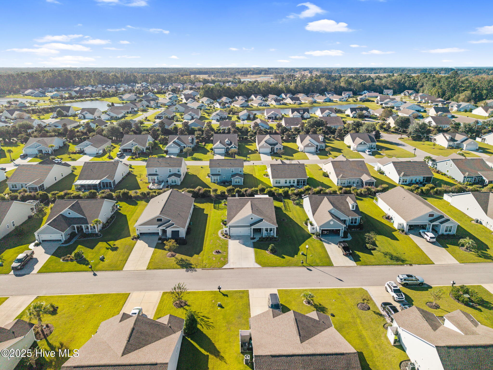 100535232 | Photo 43