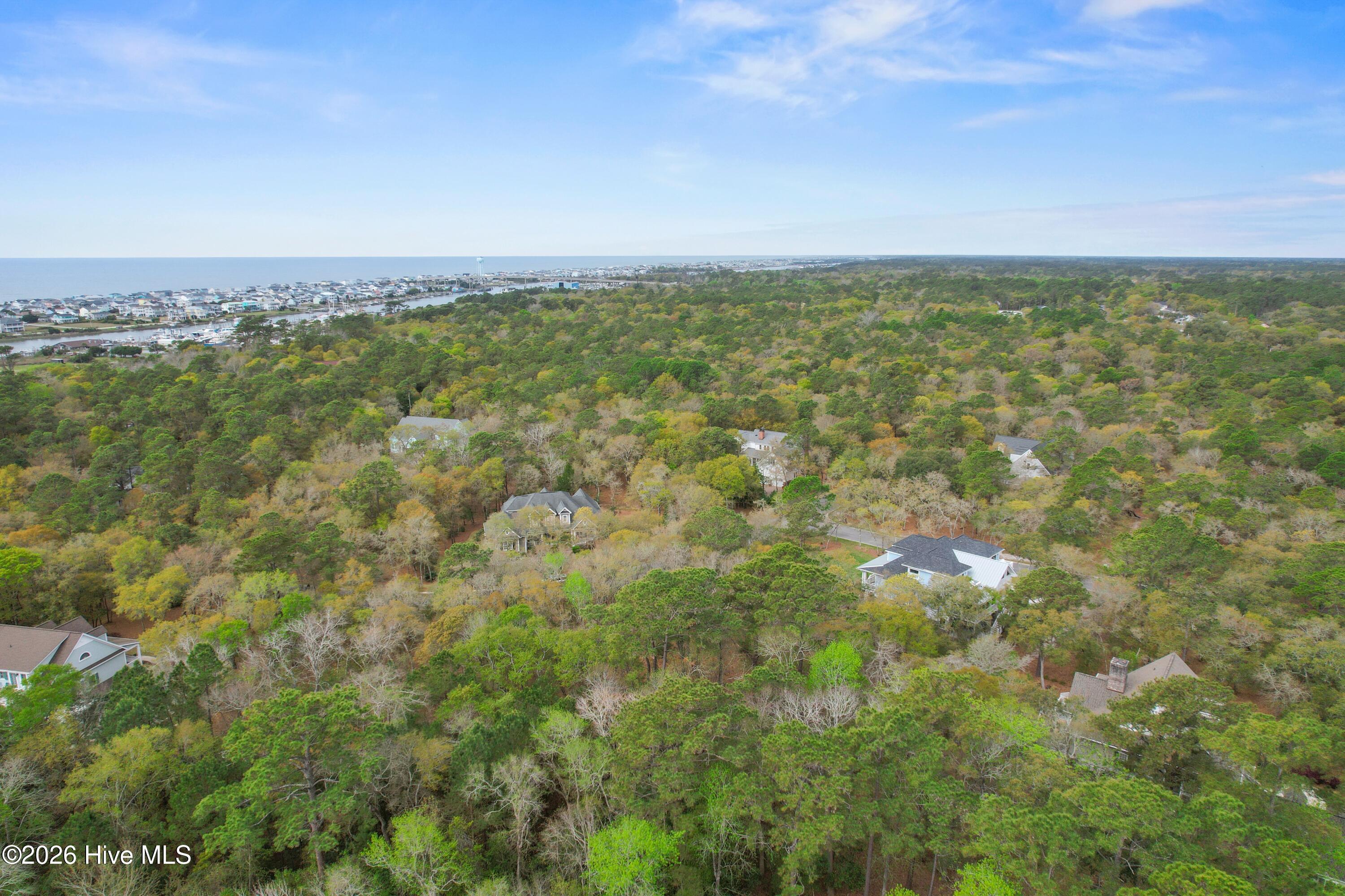 100567626 | Photo 11