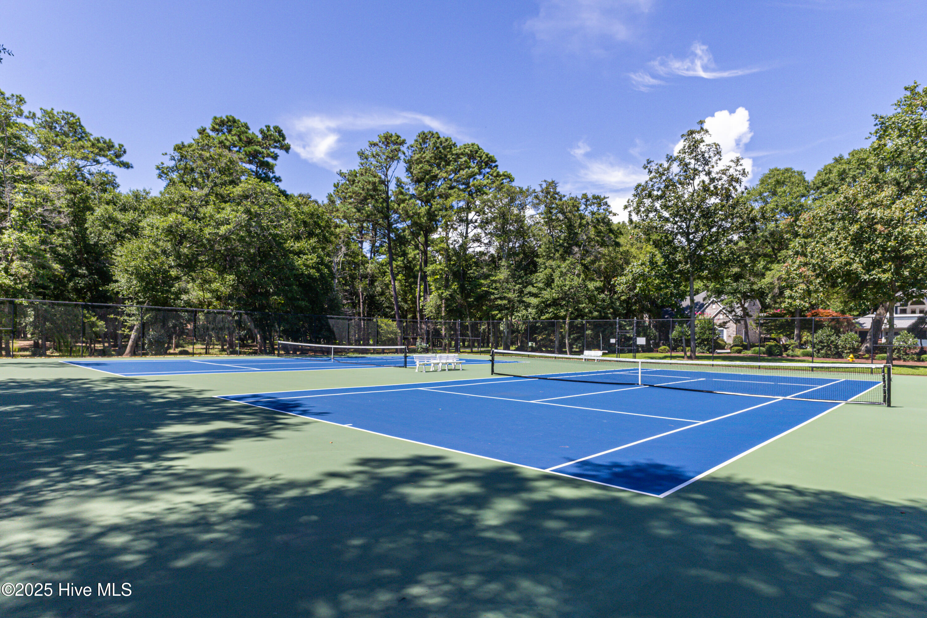 100508279 | Photo 57