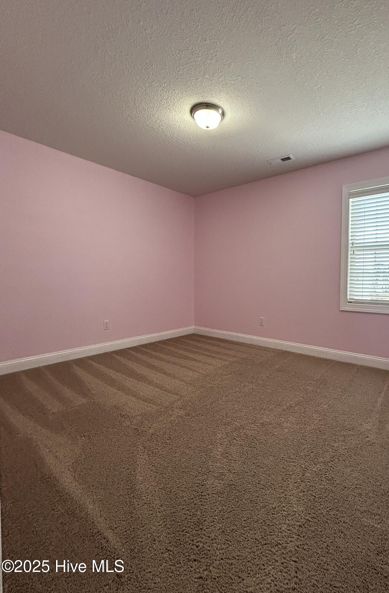 100528484 | Photo 35