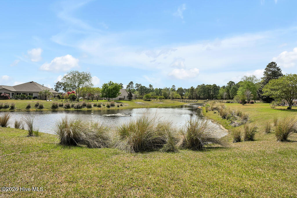 100565145 | Photo 32