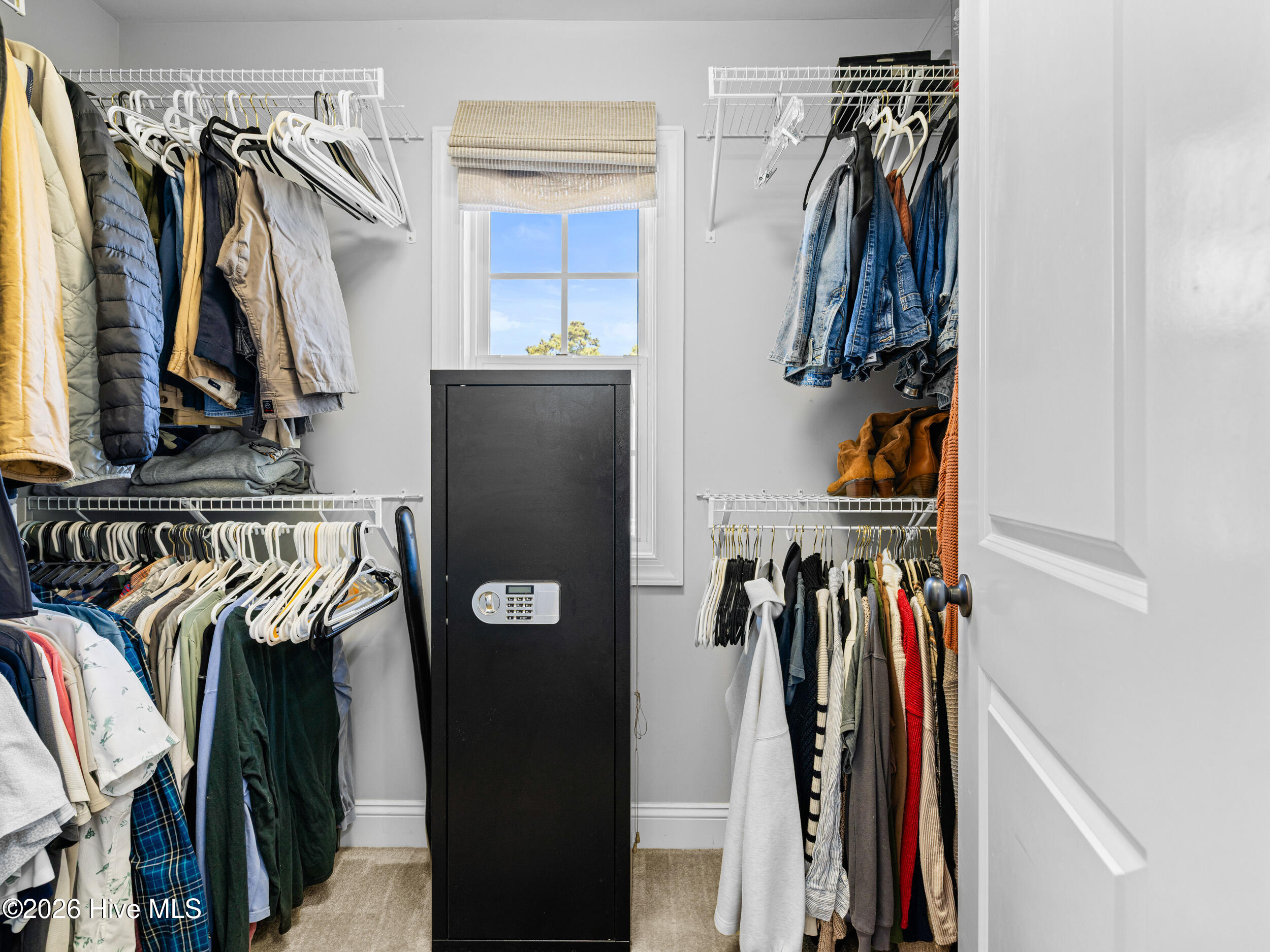 100566633 | Photo 51