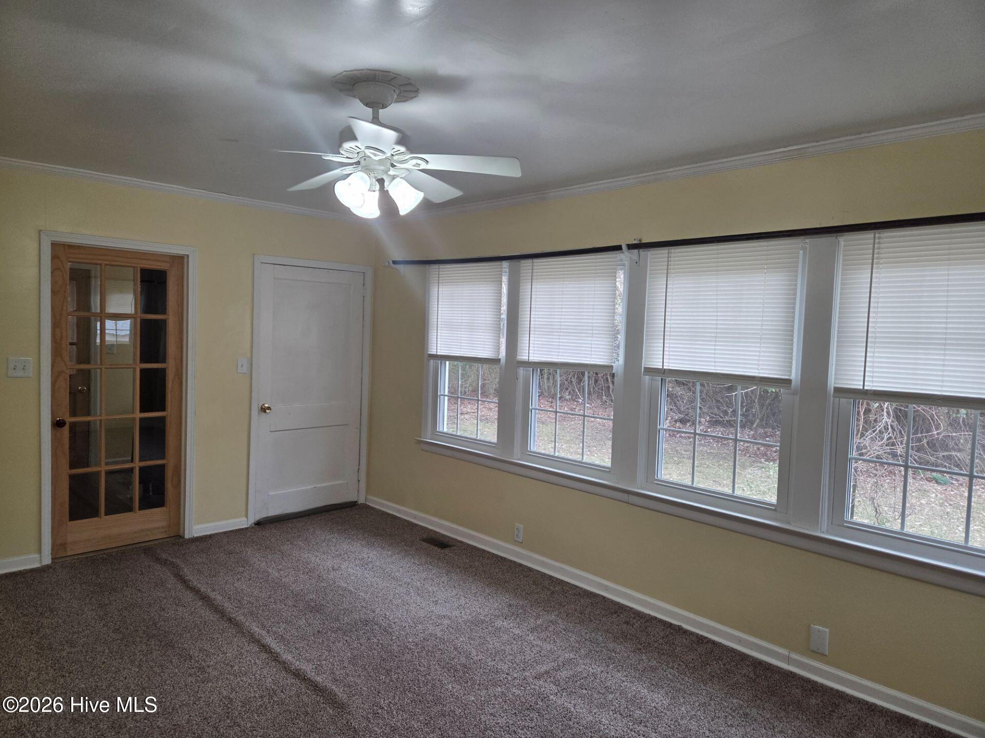 100555459 | Photo 17