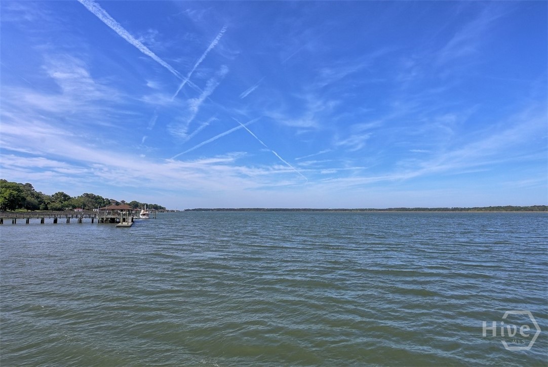 75th image of 12 Clarendon Rd, Savannah, GA 31410 | MLS# SA355318