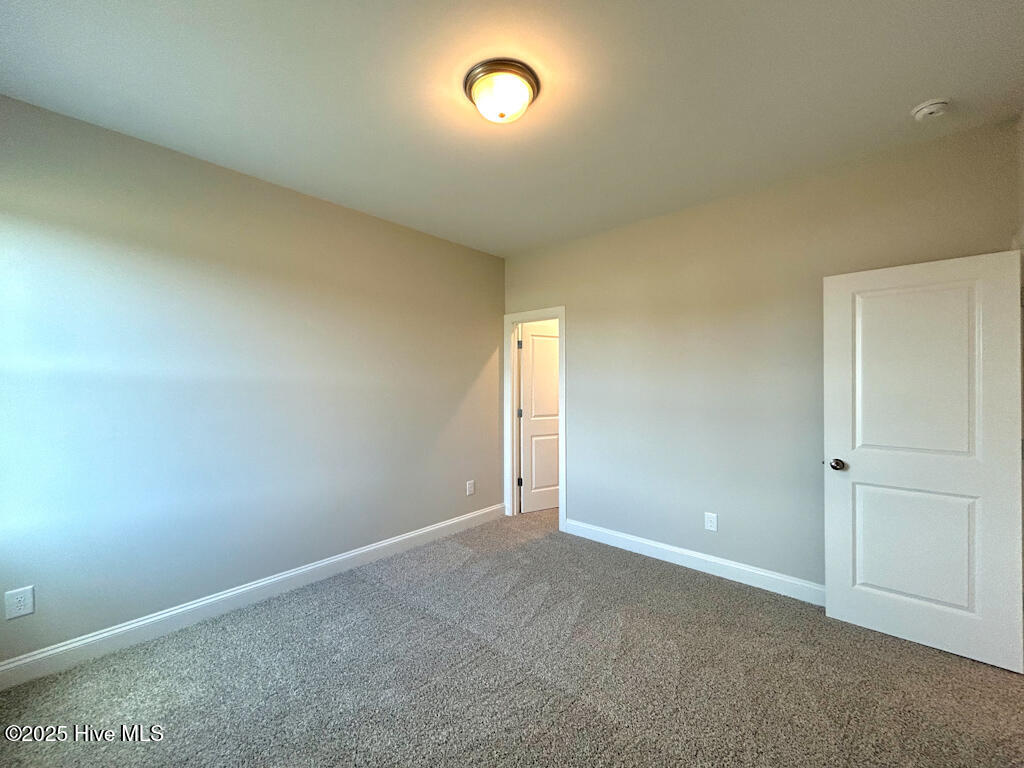 100535078 | Photo 57