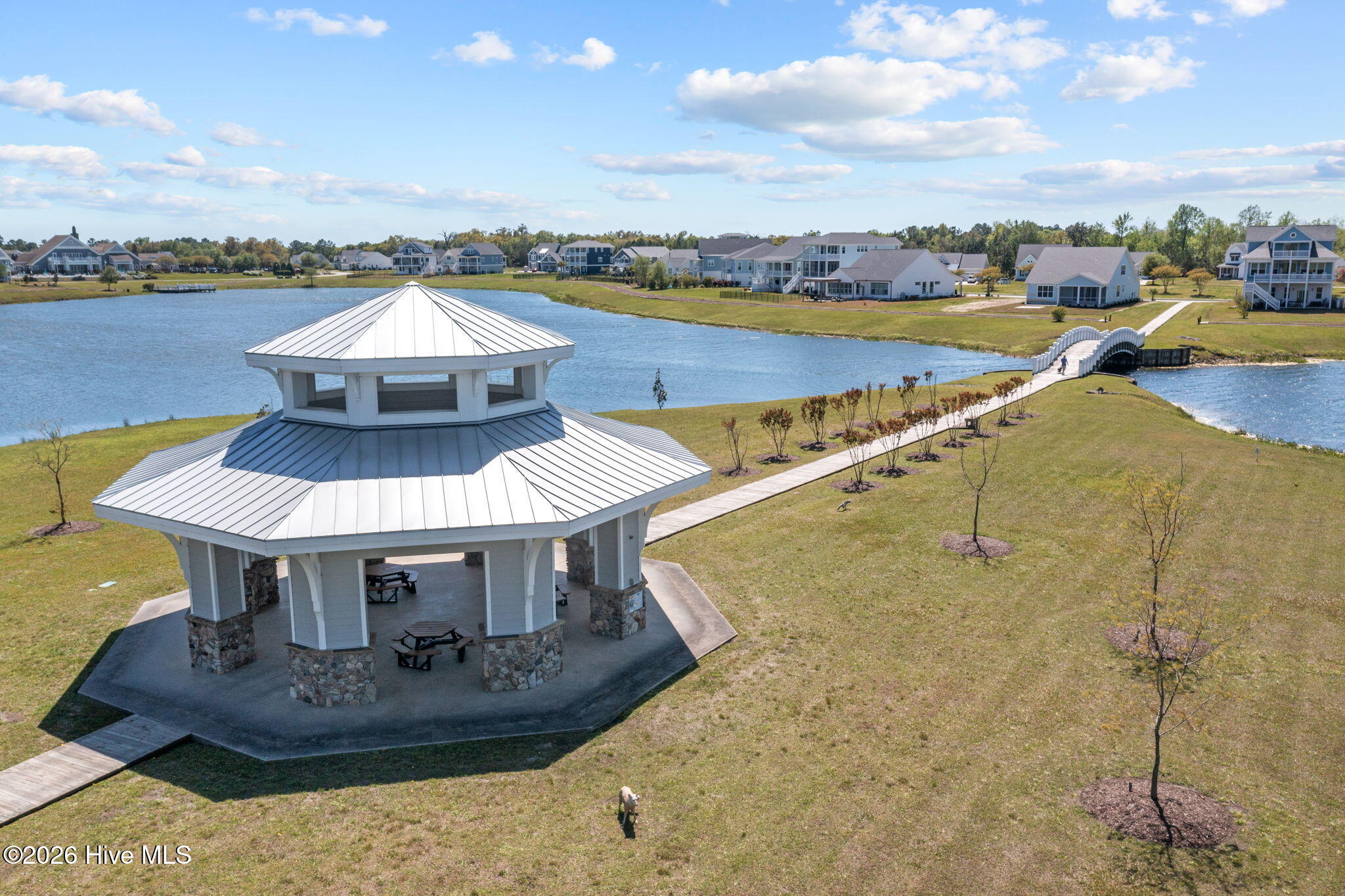 100566847 | Photo 11