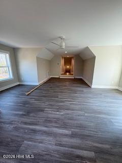 100479561 | Photo 21