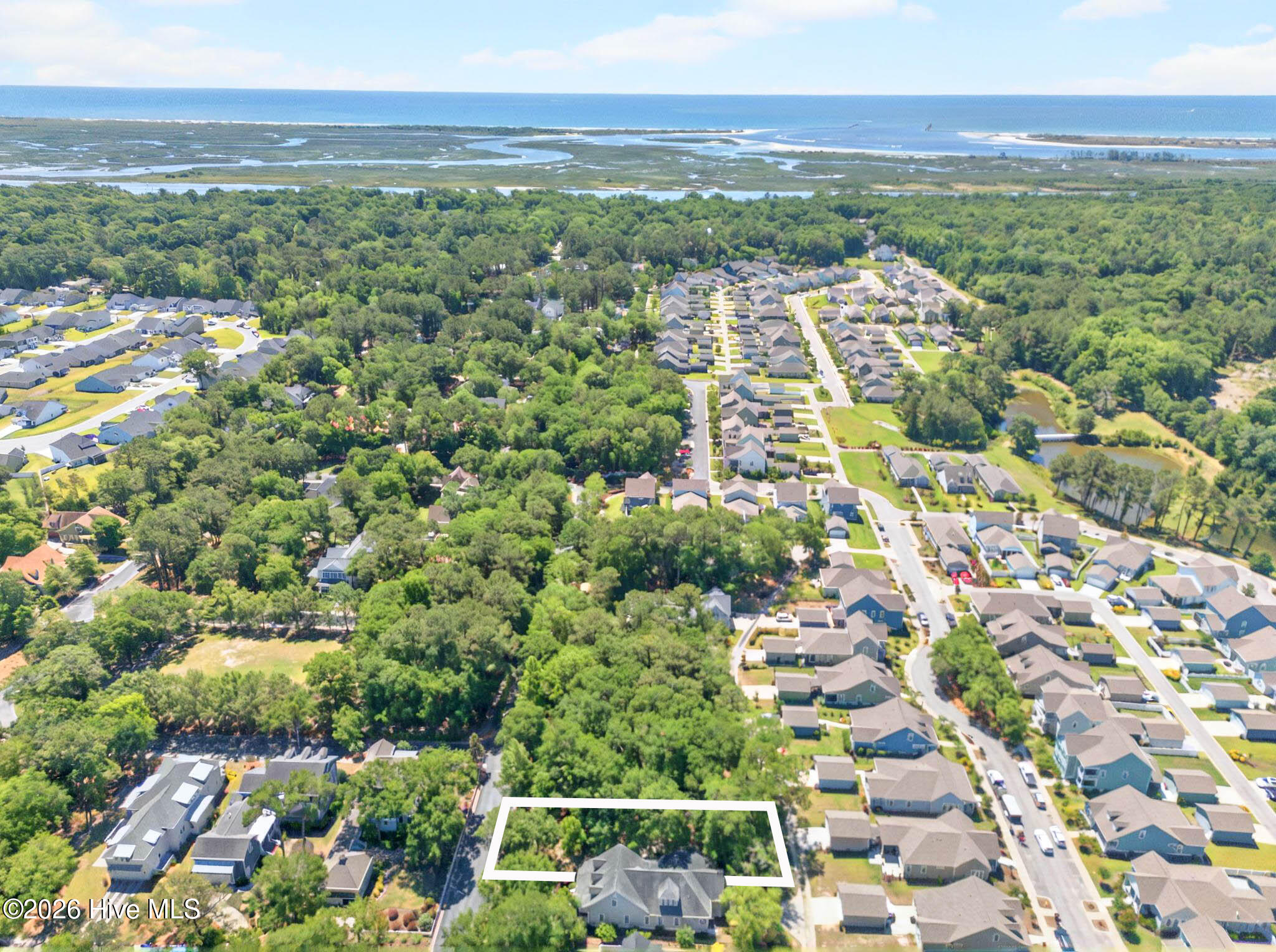 100558704 | Photo 19