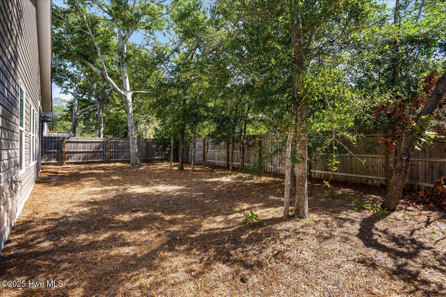 100528541 | Photo 44