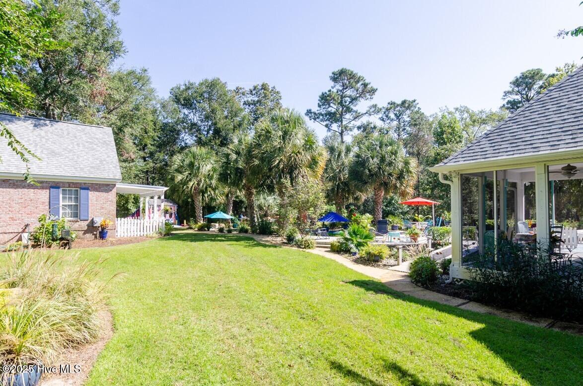 100528608 | Photo 46