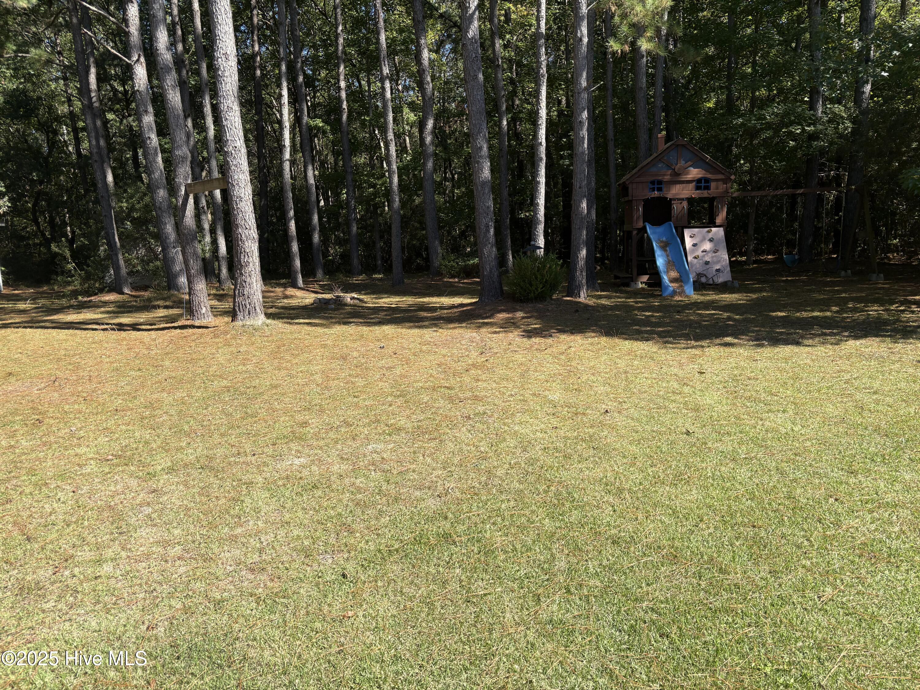 100533477 | Photo 16