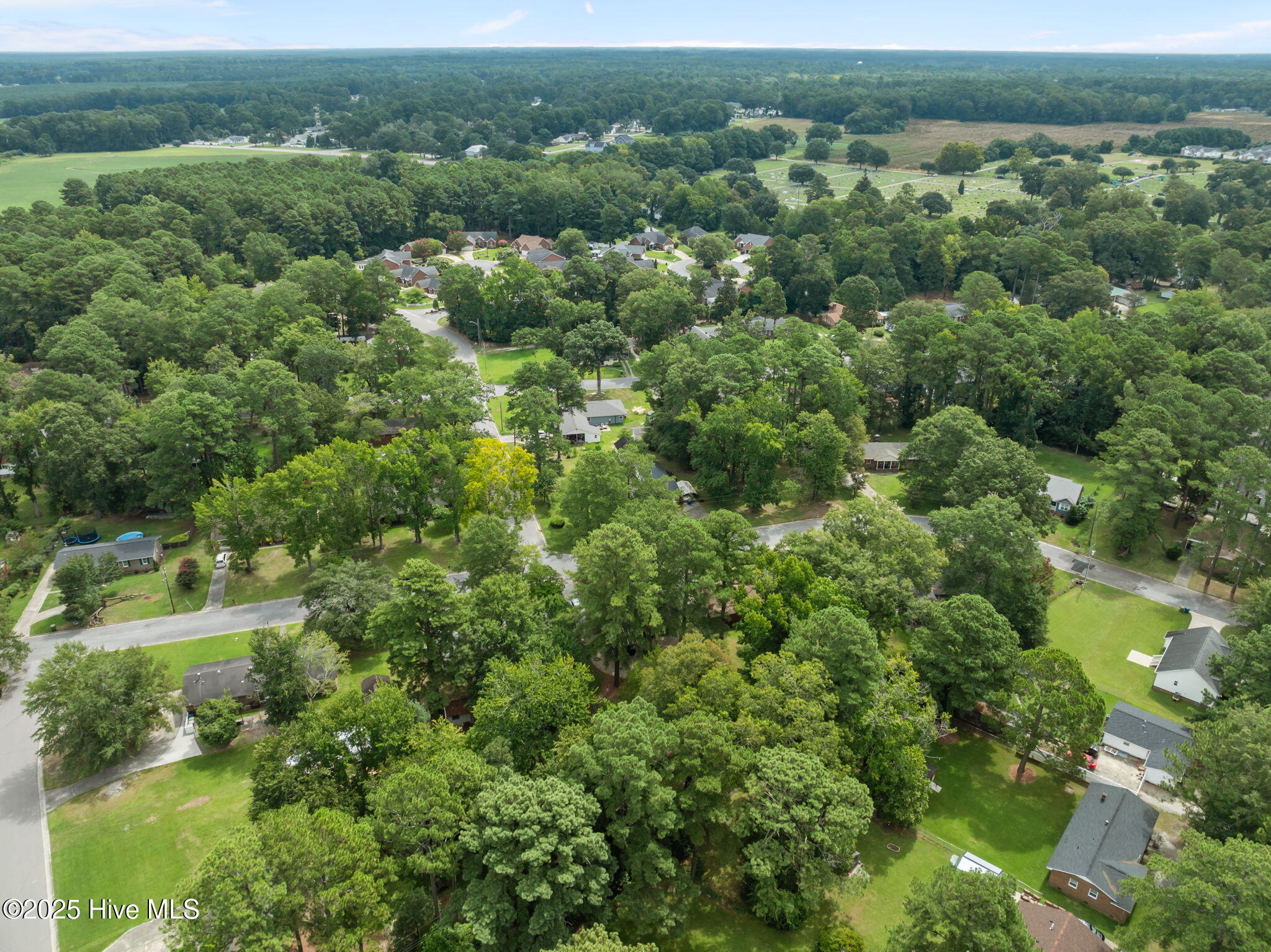 7-web-or-mls-DJI_0979