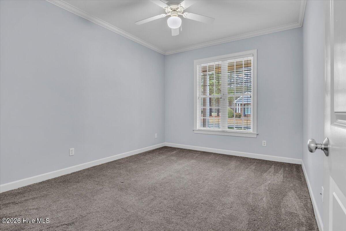 100547572 | Photo 34