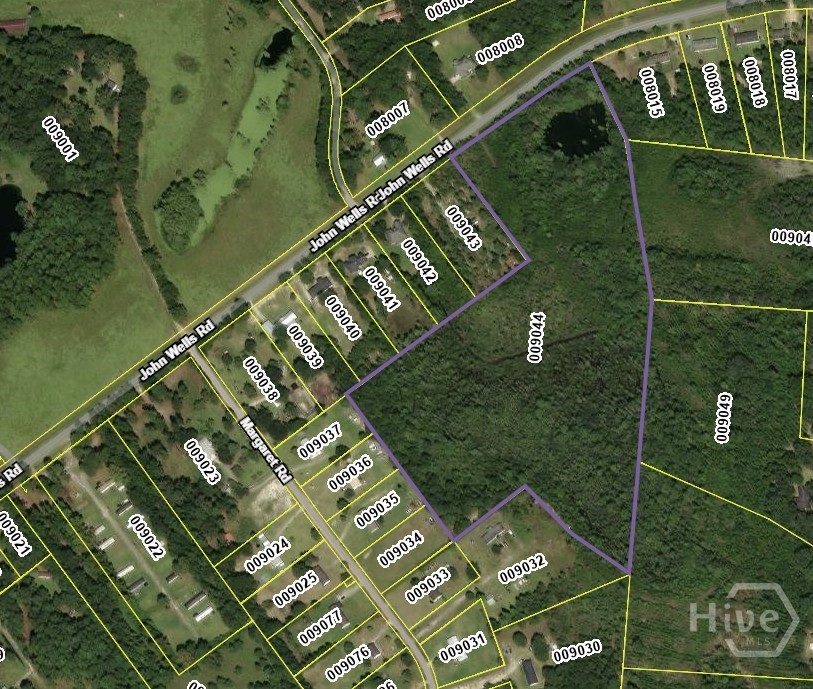 21.57 AC John Wells Road, Hinesville, GA, 31313