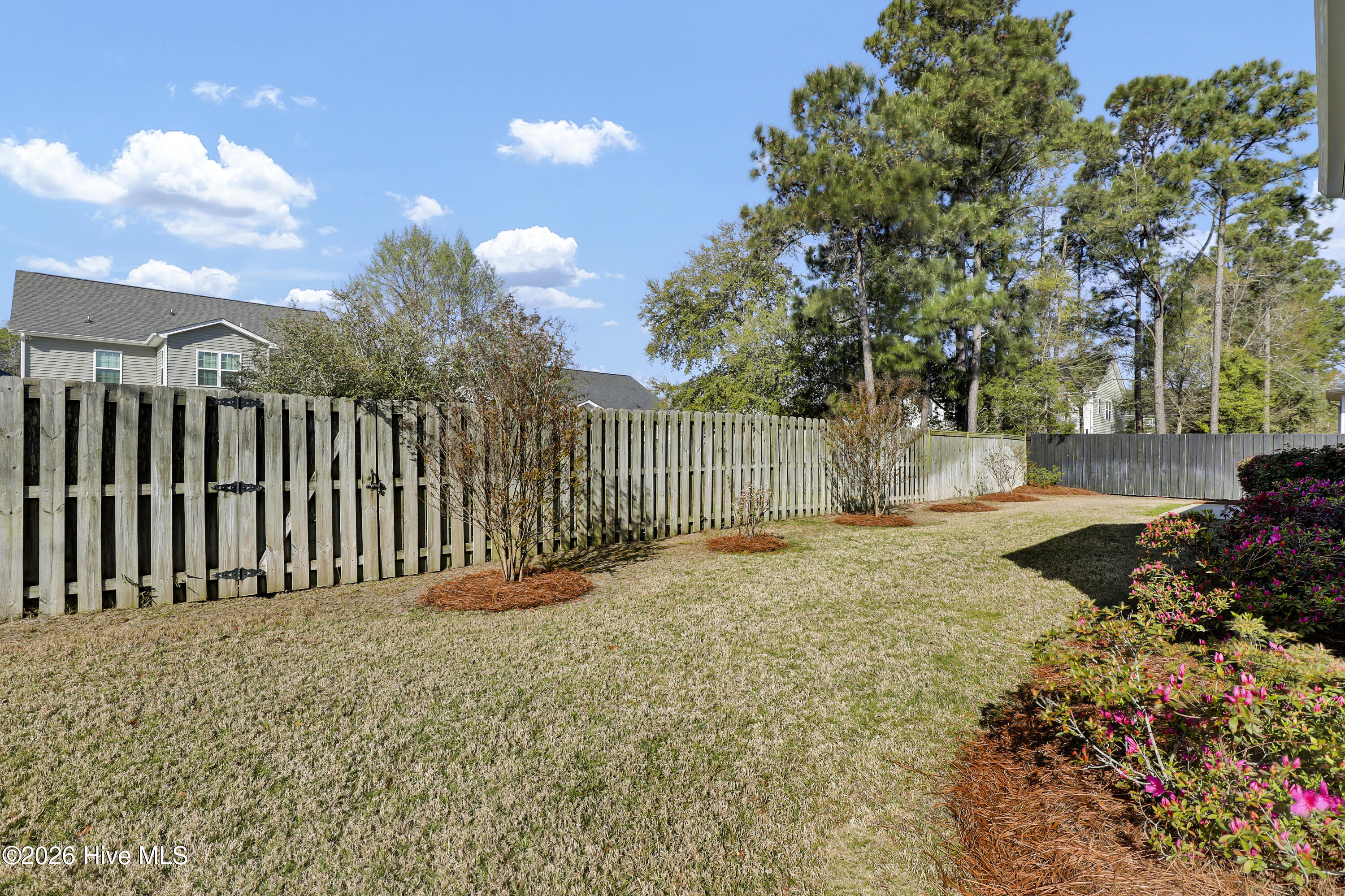 100564151 | Photo 31